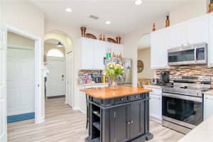 11038 ANCIENT FUTURES DRIVE, TAMPA, FL 33647 - MLS#MFRT3548675