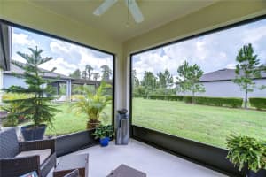 19560 COASTAL SHORE TERRACE, LAND O LAKES, FL 34638 Sold 11/01/24