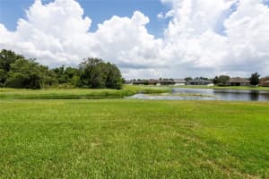 10817 AUSTRALIAN PINE DRIVE, RIVERVIEW, FL 33579 Sold 04/30/25