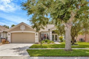 10013 CANNON DRIVE, RIVERVIEW, FL 33578 Sold 09/25/24