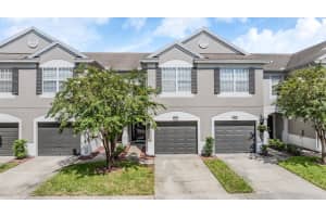 10227 ESTERO BAY LANE, TAMPA, FL 33625 Sold 03/04/25
