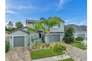31831 BOURNEVILLE TERRACE, WESLEY CHAPEL, FL 33543 Sold 11/08/24