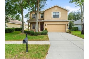 6106 DESERT PEACE AVENUE, LAND O LAKES, FL 34639 Sold 03/24/25