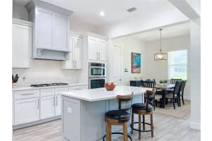 13520 GRAND BLOSSOM COURT, DOVER, FL 33527 Sold 10/04/24