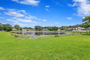 9506 PEBBLE GLEN AVENUE, TAMPA, FL 33647 Sold 06/20/25