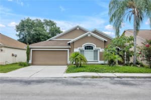 8812 CYPRESS HAMMOCK DRIVE, TAMPA, FL 33614 Sold 12/04/24
