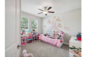 21892 VIOLET PERIWINKLE DRIVE, LAND O LAKES, FL 34637 Sold 10/17/24
