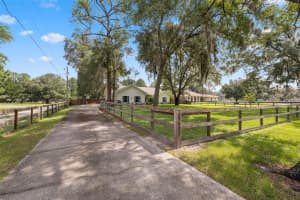 28453 SONNY DRIVE, WESLEY CHAPEL, FL 33544 Sold 10/11/24