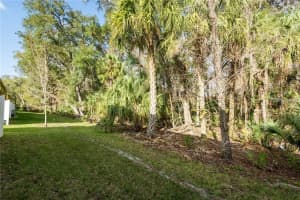 4326 SILVER FALLS DRIVE, LAND O LAKES, FL 34639 Sold 03/03/25