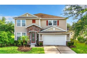 11502 BALINTORE DRIVE, RIVERVIEW, FL 33579 Sold 02/13/25