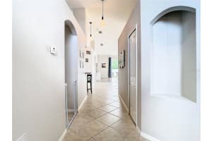 29544 OX EYE COURT, WESLEY CHAPEL, FL 33543 Sold 10/18/24