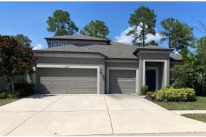 18565 OBREGAN DRIVE, SPRING HILL, FL 34610 Sold 03/05/25