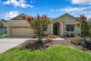 4108 BALINGTON DRIVE, VALRICO, FL 33596 Sold 01/28/25