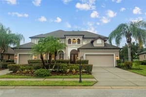 4754 LAGO VISTA CIRCLE, LAND O LAKES, FL 34639 Sold 11/20/24