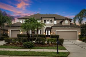 4754 LAGO VISTA CIRCLE, LAND O LAKES, FL 34639 Sold 11/20/24