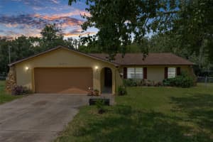 18719 ALEXSON STREET, SPRING HILL, FL 34610 Sold 11/27/24
