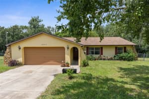 18719 ALEXSON STREET, SPRING HILL, FL 34610 Sold 11/27/24