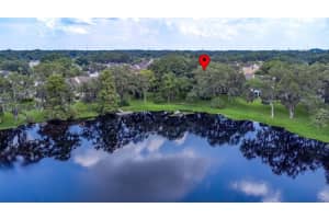 5034 PURITAN CIRCLE, TAMPA, FL 33617 Sold 10/18/24