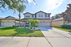 11650 PALMETTO PINE STREET, RIVERVIEW, FL 33569 Sold 03/05/25