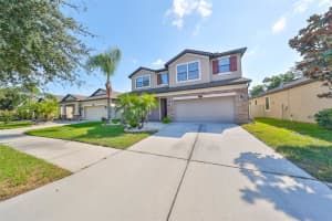11650 PALMETTO PINE STREET, RIVERVIEW, FL 33569 Sold 03/05/25