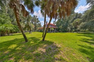 1702 WILLIAMS ROAD, PLANT CITY, FL 33565 Sold 12/10/24