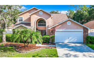 9083 QUAIL CREEK DRIVE, TAMPA, FL 33647 Sold 04/24/25