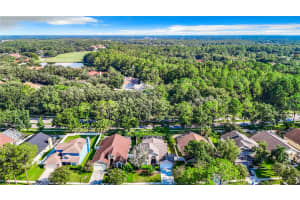 9083 QUAIL CREEK DRIVE, TAMPA, FL 33647 Sold 04/24/25