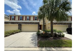 13109 CANOPY CREEK DRIVE, TAMPA, FL 33625 Sold 11/12/24