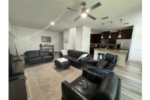 13109 CANOPY CREEK DRIVE, TAMPA, FL 33625 Sold 11/12/24