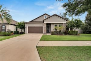 11366 AMERICAN HOLLY DRIVE, RIVERVIEW, FL 33578 Sold 10/04/24
