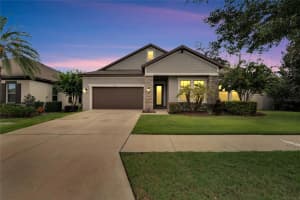 11366 AMERICAN HOLLY DRIVE, RIVERVIEW, FL 33578 Sold 10/04/24