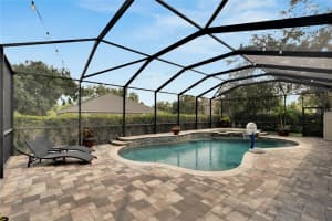 11366 AMERICAN HOLLY DRIVE, RIVERVIEW, FL 33578 Sold 10/04/24