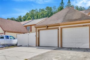 16007 DAWNVIEW DRIVE, TAMPA, FL 33624 Sold 10/23/24