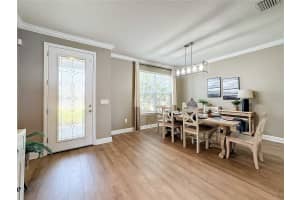 11873 LAKE LUCAYA DRIVE, RIVERVIEW, FL 33579 Sold 02/21/25