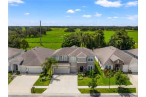 34018 LAUGHING OAK DRIVE, WESLEY CHAPEL, FL 33545 Sold 11/18/24