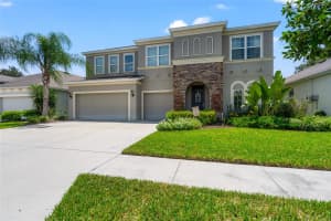 34018 LAUGHING OAK DRIVE, WESLEY CHAPEL, FL 33545 Sold 11/18/24