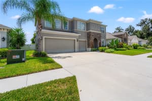 34018 LAUGHING OAK DRIVE, WESLEY CHAPEL, FL 33545 Sold 11/18/24