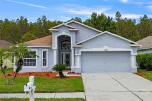 31453 CHATTERLY DRIVE, WESLEY CHAPEL, FL 33543 Sold 10/17/24