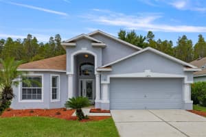 31453 CHATTERLY DRIVE, WESLEY CHAPEL, FL 33543 Sold 10/17/24