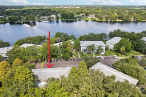 7163 BANK DRIVE, TAMPA, FL 33617 Sold 12/20/24
