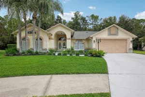 4870 BASSWOOD STREET, LAND O LAKES, FL 34639 Sold 09/25/24
