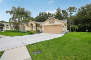 4870 BASSWOOD STREET, LAND O LAKES, FL 34639 Sold 09/25/24