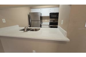 14663 NORWOOD OAKS DRIVE, TAMPA, FL 33613 Sold 01/16/25