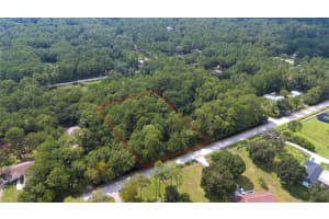7785 WEST DRIVE, WESLEY CHAPEL, FL 33544 Sold 09/30/24
