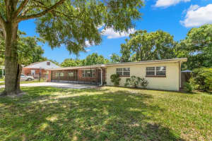 1213 E Frierson Ave, TAMPA