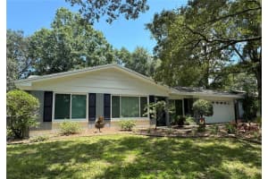 10919 ORANGE GROVE DRIVE, CARROLLWOOD, FL 33618 Sold 09/20/24