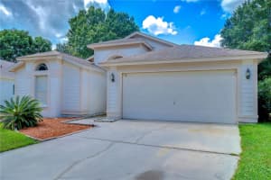 10121 HEATHER SOUND DRIVE, TAMPA, FL 33647 Sold 12/30/24