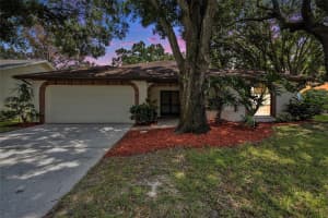 1426 WICKLOW DRIVE, PALM HARBOR, FL 34684 Sold 02/14/25