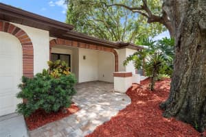 1426 WICKLOW DRIVE, PALM HARBOR, FL 34684 Sold 02/14/25