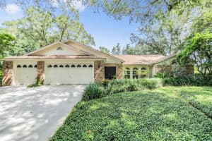 3901 BLUE MAIDENCANE PLACE, VALRICO, FL 33596 Sold 10/16/24